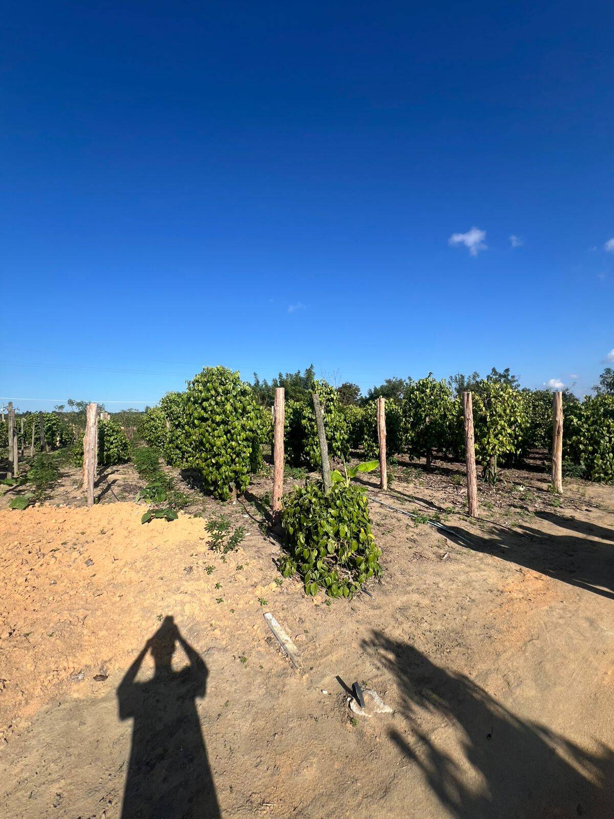 #374 - Área para Venda em Linhares - ES