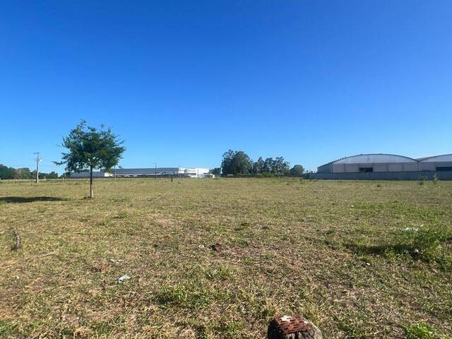 #38 - Área para Venda em Linhares - ES