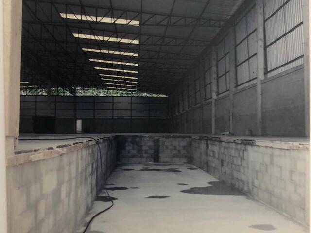 Ponto Comercial para Locação em Linhares - 5