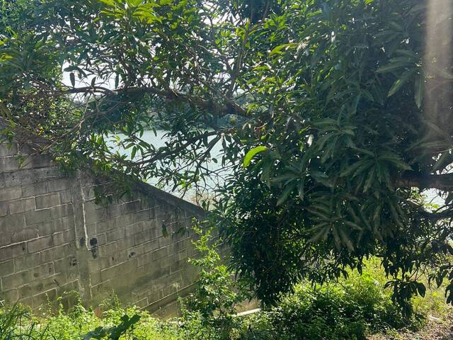 Área para Venda em Linhares - 4