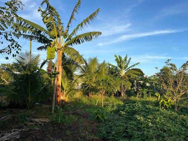 Área para Venda em Linhares - 5