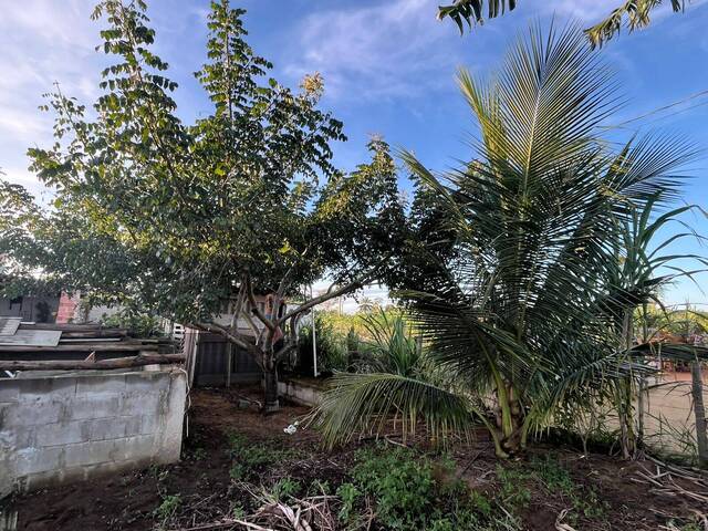 Área para Venda em Linhares - 4
