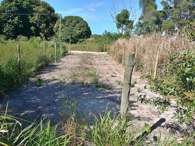 Venda em Vila betania - Linhares