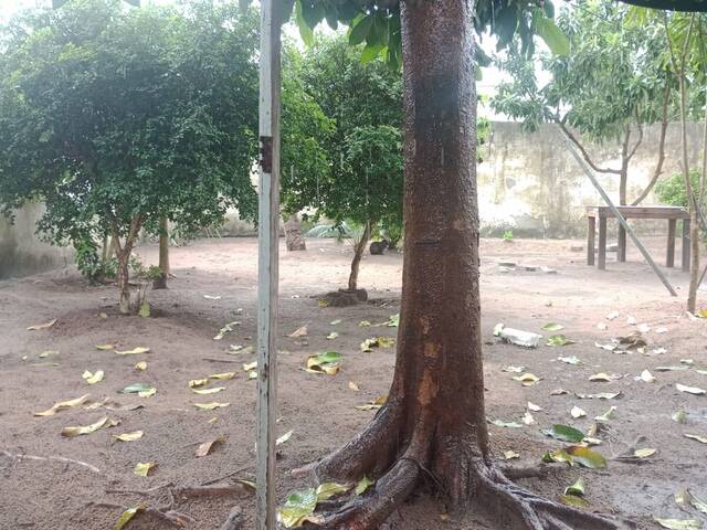 Venda em Planalto - Linhares