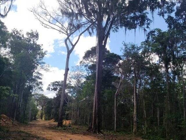 Área para Venda em Linhares - 3