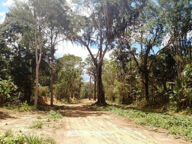 Área para Venda em Linhares - 4