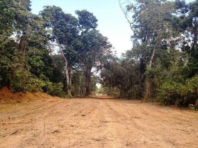 Área para Venda em Linhares - 5