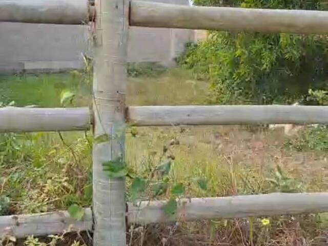 Área para Venda em Linhares - 5