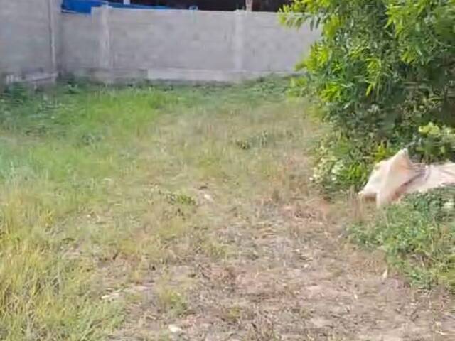 Área para Venda em Linhares - 4