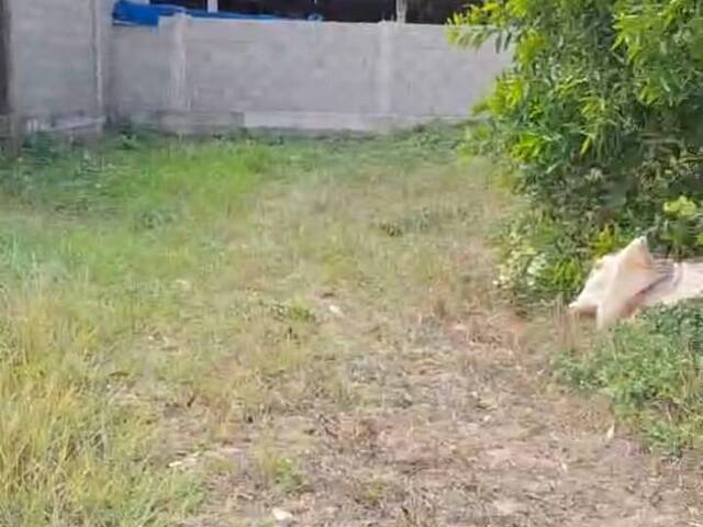 Venda em Uruçuquara - Linhares