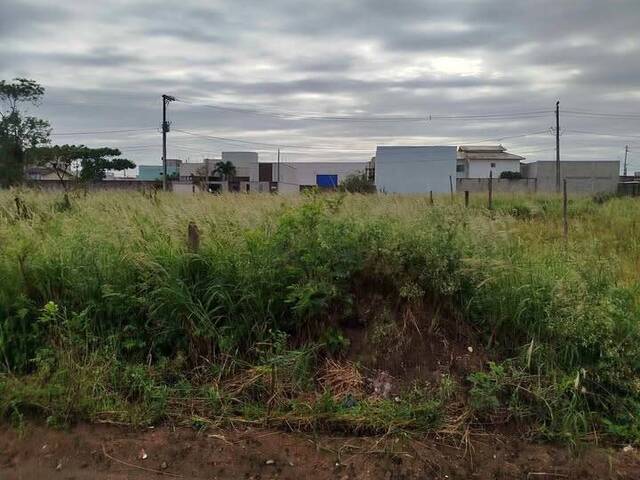 Venda em Dona Zizi - Linhares