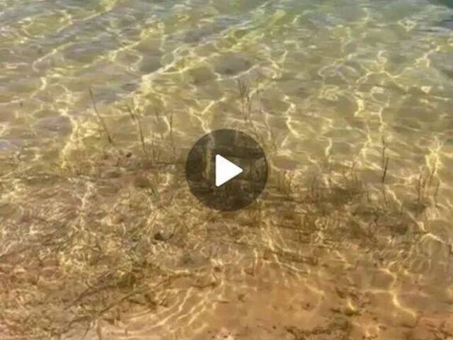 #576 - Área para Venda em Linhares - ES