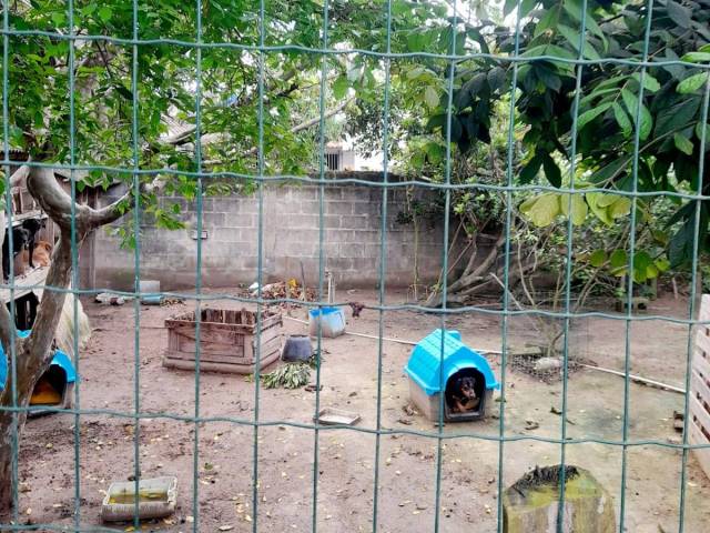 Casa para Venda em Linhares - 4