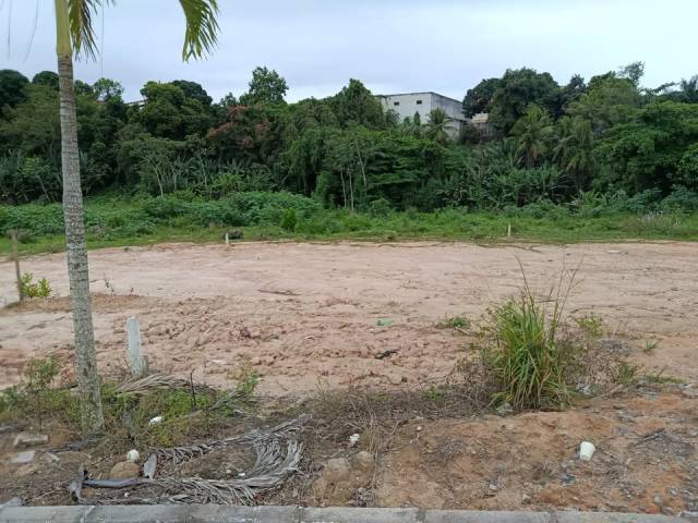 Área para Venda em Linhares - 4