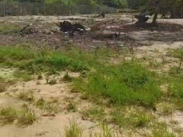 Área para Venda em Linhares - 4