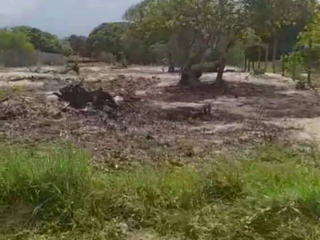 Área para Venda em Linhares - 5