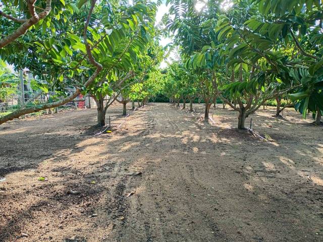 #593 - Área para Venda em Linhares - ES