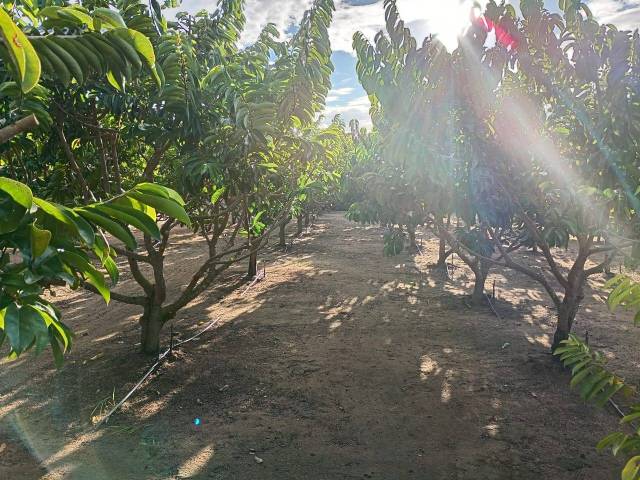 Área para Venda em Linhares - 5