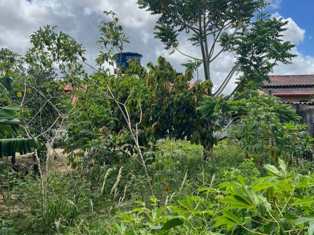 # -  para Venda em Linhares - ES