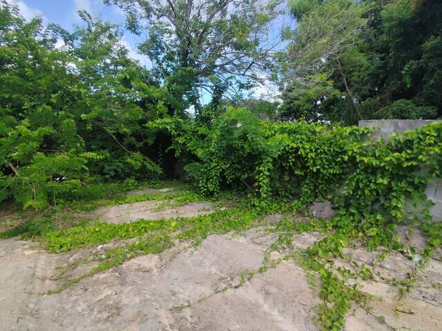 Área para Venda em Linhares - 4