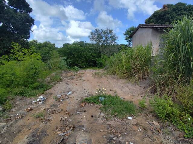 Área para Venda em Linhares - 5