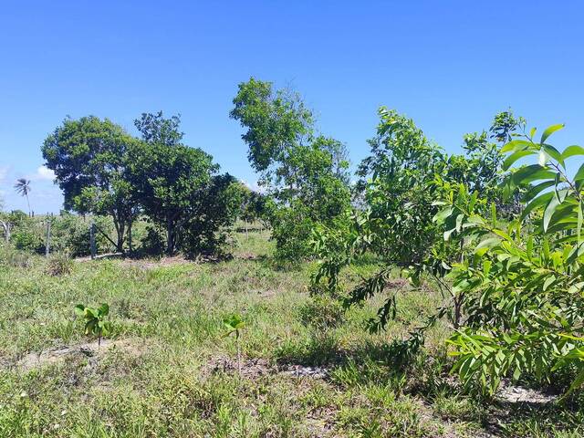 #649 - Área para Venda em São Mateus - ES