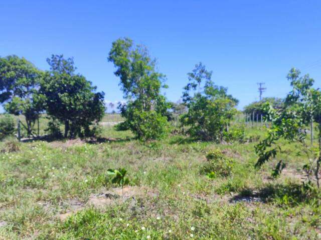 #649 - Área para Venda em São Mateus - ES