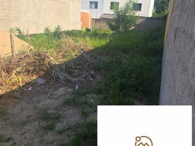 Área para Venda em Linhares - 4