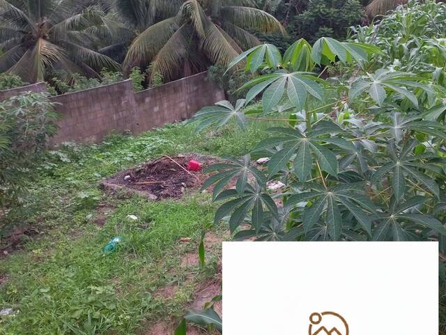 Área para Venda em Linhares - 4