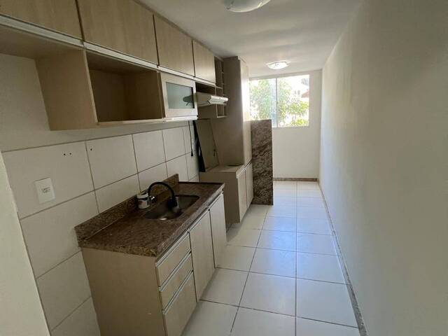 Apartamento para Venda em Linhares - 4