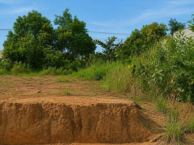 #731 - Área para Venda em São Mateus - ES - 1
