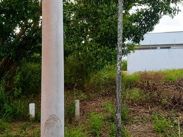 #736 - Área para Venda em São Mateus - ES - 1